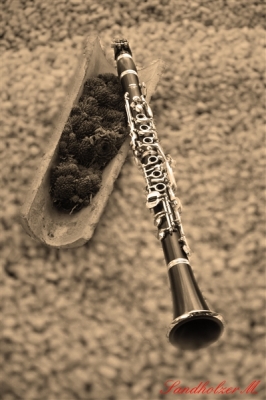 Blasmusikinstrumente 7